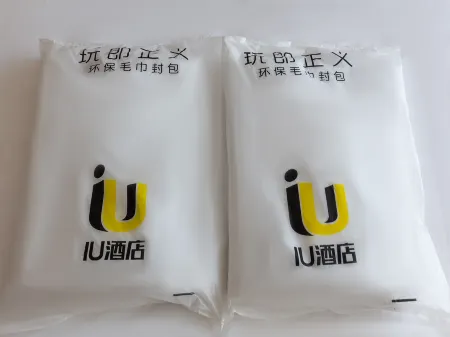 IU Hotel ( Changsha IFS Wuyi Square Station )