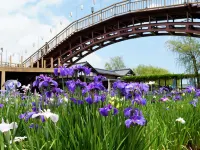 ART HOTEL Kashima Central