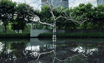 Meizhi Yueran Service Apartment