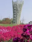 Suining Dongxu Soluxe International Grand Hotel - Scenic