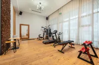 Manli Hotel (Shanghai Pudong Airport Branch) - Gym