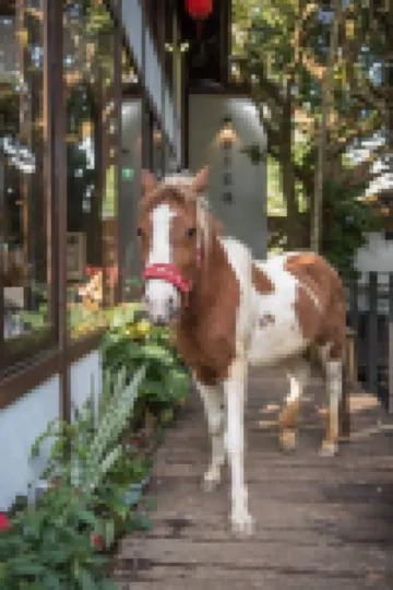 Soundwater Hotels in Yuanli Town