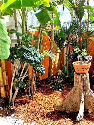 รูปภาพของพัทยา34888