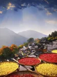 Taoshe Resort Hotel (Jingdezhen China Ceramics Museum Ancient Kiln Branch) - Romantic