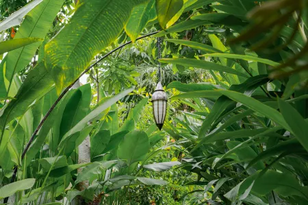 Goya Boutique Resort Отели рядом с достопримечательностью «Ubud Kajeng Rice Fields Walk»