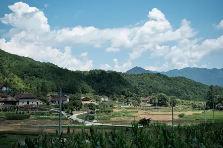 Lostvilla(Songyang Resort) Отели рядом с достопримечательностью «Ruoliao Yuanshilin»