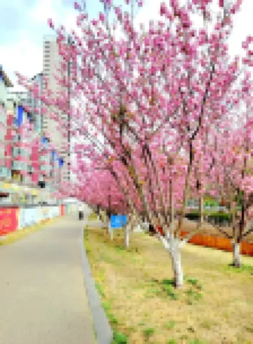 Liupanshui Liuke Homestay (Wanda Plaza)