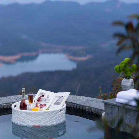 Starry Traveler Wild Luxury Vacation Apartment (Changsha Kaiyuan Temple Zizhushan Scenic Area)
