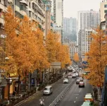 Elegance Huanpeng International Garden Hotel (Duyun Downtown Bus Terminal Branch)