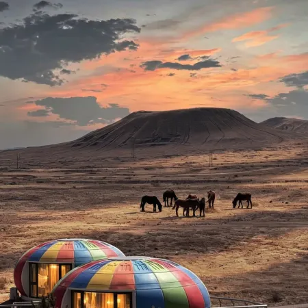 Mars House