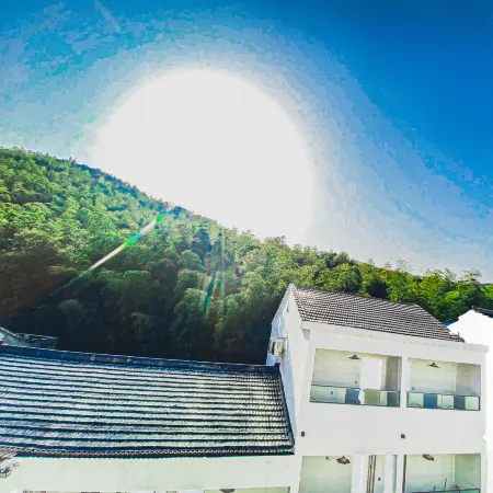 Nanshan Bamboo Sea style Xiaoyuan Guesthouse