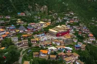 Seda Gesang Flower Collector Hotel