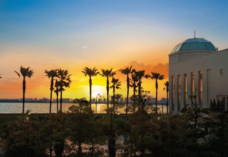 5. 도쿄 베이 마이..