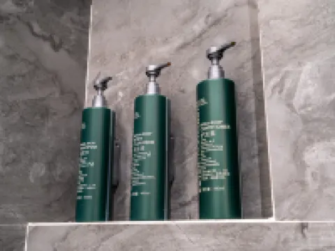 鞍山ダブルツリー バイ ヒルトンホテル 鞍山のホテル