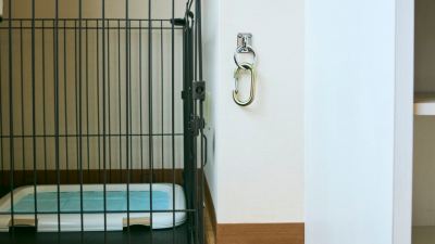 ワンちゃんルーム洋室セミダブル（バス付） 亀の井ホテル 喜連川の写真