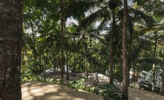 Lintang Luku Tent Resort Ijen, Banyuwangi