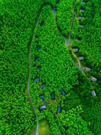 Elephant & Moon Resort, Mogan Mountains