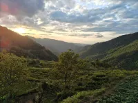 Hanse Shanfang Homestay
