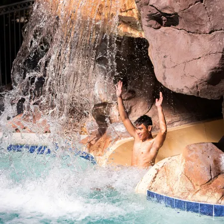 Flamingo Las Vegas Hotel & Casino
