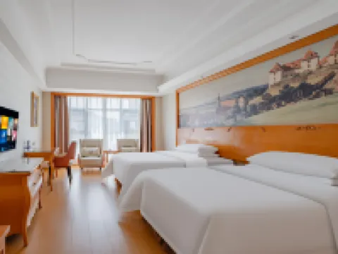 Vienna Hotel (Longhui High-speed Railway Station) Hotels in Longhui