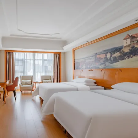 Vienna Hotel (Longhui High-speed Railway Station)