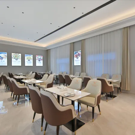 Vienna Hotel Linqing Canal Culture Plaza Store