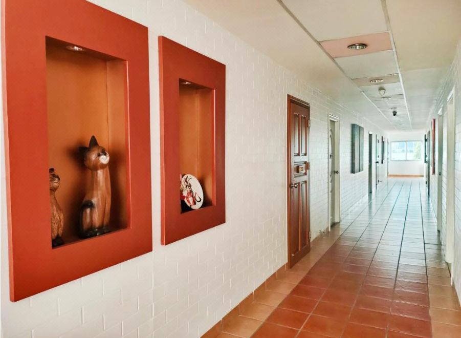 Welnez World Residence 수영장