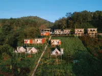 happycamp phuchifa Hotels in 