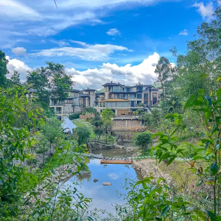 huilinxigumishu