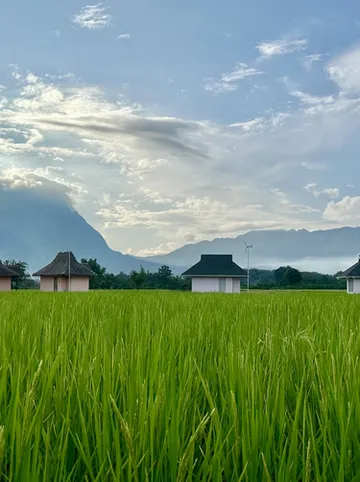 รูปภาพของบ้านผ่อดอยกอยดาว