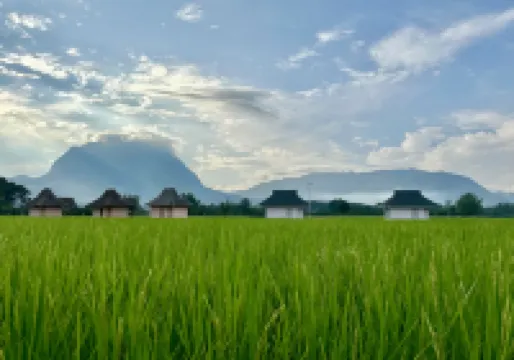 บ้านผ่อดอยกอยดาว โรงแรมใกล้วัดถ้ำเชียงดาว