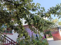 Suya Homestay in Tekes County