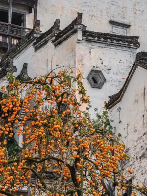 秋語云棲·Villa設計美宿(曬秋觀景台篁嶺風景區店) 婺源篁嶺景區-2號觀景台附近的飯店