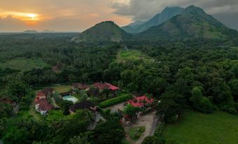 Sterling Govardhana Malampuzha