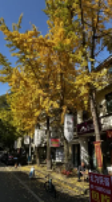 Qingcheng Mountain Wuwei Homestay