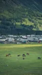 Shanye Jirai · Bonfire Party · Panoramic Designer Homestay (Kanas Scenic Area Branch) - Mountain view