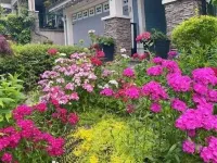 Derbyshire House Hotel a Coquitlam
