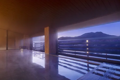Ooedo Onsen Monogatari Premium Enakyo