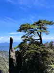 Wilderness Retreat · Hillview · Boutique & Minimalist Luxury Designer Guesthouse - Mountain view