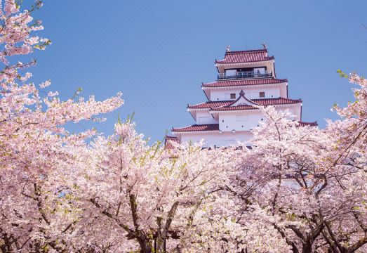 토요코인 아이즈와카마츠 에키마에 객실