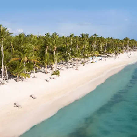 Catalonia Royal Bavaro - Adults Only