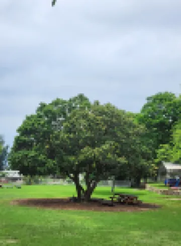 香港長洲西園 のホテル