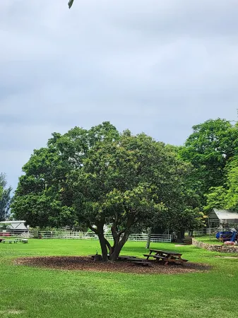 Saiyuen Отели рядом с достопримечательностью «Муйво»