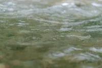 Fanjing Mountain fanchen · Qishe - Rooftop Pools