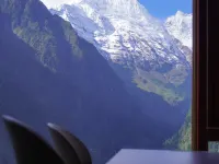 Cat in Yubeng Snow Mountain View Guesthouse Hotels in Deqin