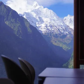 Cat in Yubeng Snow Mountain View Guesthouse
