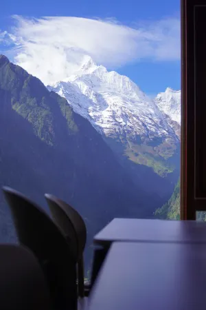 Cat in Yubeng Snow Mountain View Guesthouse Отели рядом с достопримечательностью «Xiaonong Base camp»