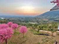 Sirine​ Onsen​ รีสอร์ทออนเซนวิวทะเลหมอก โรงแรมใกล้The Most เขาค้อ-ลานกางเต็นท์