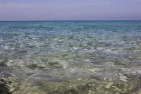 Goodview Kohkood