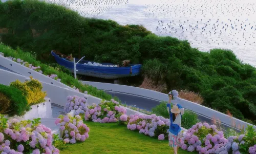 Wind Villa